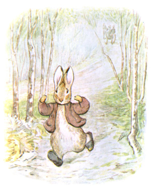 Illustration from the classic children's story The Tale Of Benjamin Bunny, by Beatrix Potter