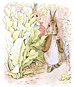 Illustration from the classic children's story The Tale Of Benjamin Bunny, by Beatrix Potter