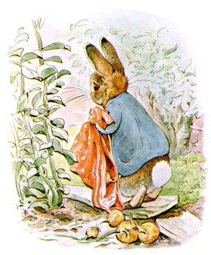 Illustration from the classic children's story The Tale Of Benjamin Bunny, by Beatrix Potter