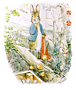 Illustration from the classic children's story The Tale Of Benjamin Bunny, by Beatrix Potter