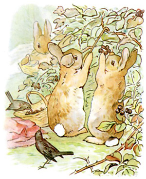 Illustration from the classic children's story The Tale Of Peter Rabbit, by Beatrix Potter