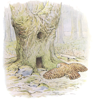 Illustration from the classic children's story The Tale Of Squirrel Nutkin, by Beatrix Potter