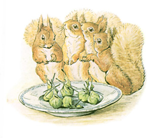 Illustration from the classic children's story The Tale Of Squirrel Nutkin, by Beatrix Potter