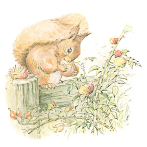 Illustration from the classic children's story The Tale Of Squirrel Nutkin, by Beatrix Potter