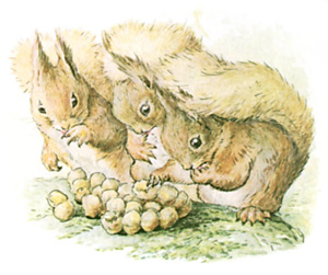 Illustration from the classic children's story The Tale Of Squirrel Nutkin, by Beatrix Potter