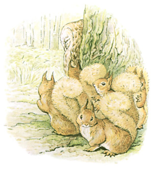 Illustration from the classic children's story The Tale Of Squirrel Nutkin, by Beatrix Potter