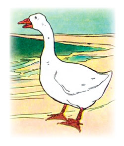 Illustration, by Blanche Fisher Wright, from The Real Mother Goose - cropped and used for the nursery rhyme, Old Mother Goose.